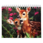 Baby Animals Calendar