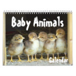baby, animals, chicks, goats, kids, birds, fur, seal, polar, bear, calf, lamb, elephant, calendar, gift, farm