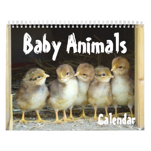 Baby Animals Calendar Zazzle