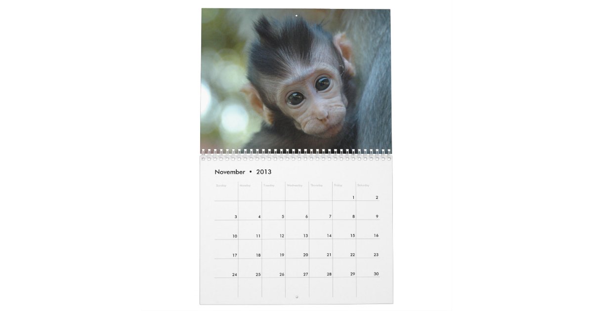 Baby Animals Calendar | Zazzle