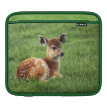 Baby Antelope Sleeves For iPads