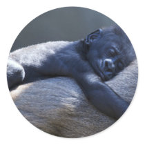 Baby Ape & Momma stickers