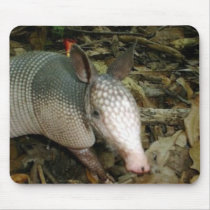 Baby Armadillo mousepads by Illusnist Baby Armadillo mousepads