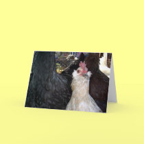 Baby Bantam Rooster cards