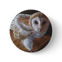 Baby Barn Owl Bird Pins