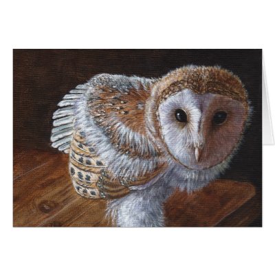 Baby Barn Owl Bird Greeting Cards by artbyakiko