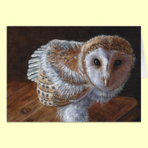 Baby Barn Owl Bird cards