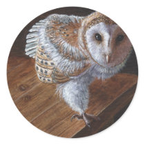 Baby Barn Owl Bird Sticker