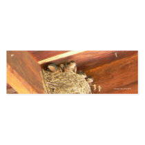 Baby Barn Swallows Bookmark business cards