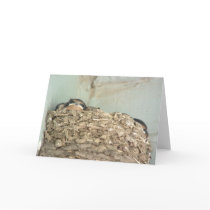 Baby Barn Swallows  Greeting Card
