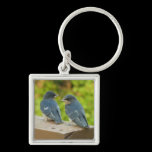 Baby Barn Swallows Keychain