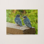 Baby Barn Swallows Puzzle