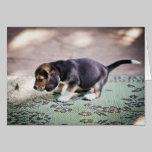 Baby Beagle and Leaf cards