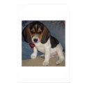 Baby Beagle posters by belle072176 Baby Beagle posters