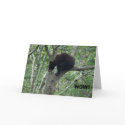 baby bear birthday card