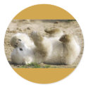 baby bear stickers by trish1968 baby bear stickers
