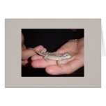 Baby Bearded Dragon Card