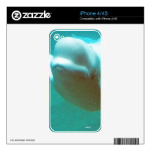 Baby Beluga Decals For The iPhone 4