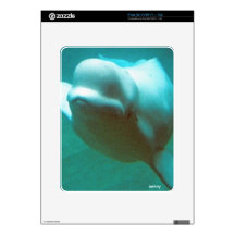 Baby Beluga iPad Skins