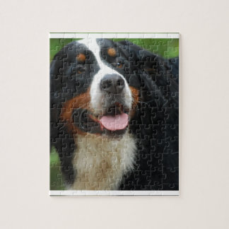 baby bernese mountain berner sennenhund jigsaw puzzles zazzle baby bernese mountain berner sennenhund jigsaw puzzles zazzle