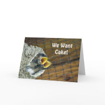 Baby Bird Birthday Card