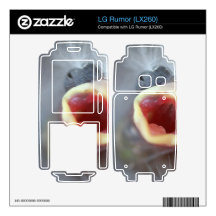 Baby Bird Decals For The LG Rumor