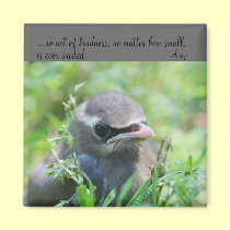 Baby Bird Kindness Quote Inspirational Magnet magnets