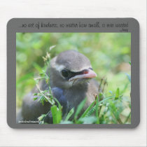 Baby Bird Nature Photo Inspirational Mousepad by SmilinEyesTreasures Baby Bird Nature Photo Inspirational Mousepad