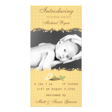 Baby Bird photocard
