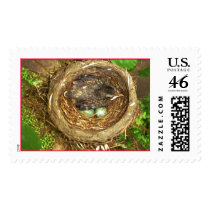 baby bird postage