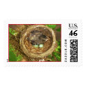 baby bird postage by blines baby bird postage