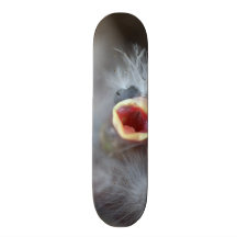 Baby Bird Skate Board Decks