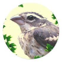 Baby Bird Round Stickers