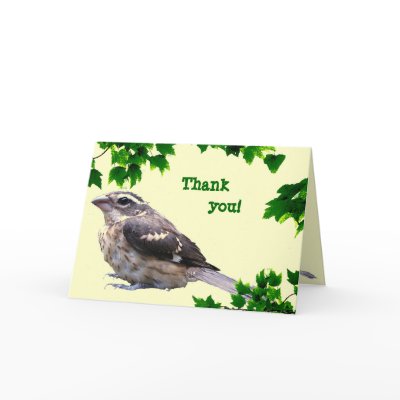 Baby Bird Thank You Greeting Card by Bebops