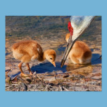 Baby Birds and Worm Wildlife Print