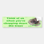 Baby Birds Bumper Stickers