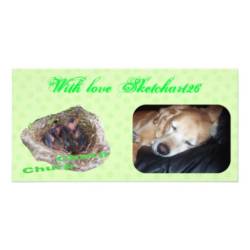 Baby Birds Custom Photo Card