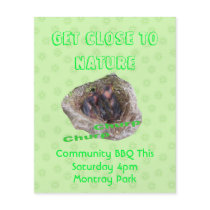 Baby Birds flyers