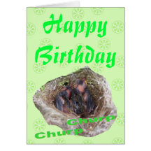Baby Birds Greeting Card