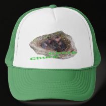 Baby Birds hats