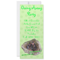 Baby Birds invitations