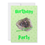 Baby Birds Invite