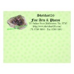 Baby Birds Letterhead Design
