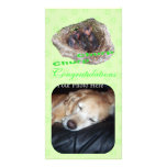 Baby Birds Photo Greeting Card