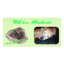 Baby Birds photo cards