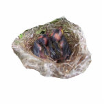 baby birds photo sculptures