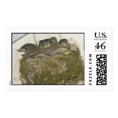 baby birds stamps by miazazzle