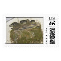 baby birds postage
