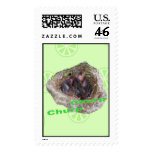 Baby Birds Postage