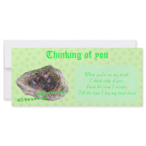 Baby Birds rack cards